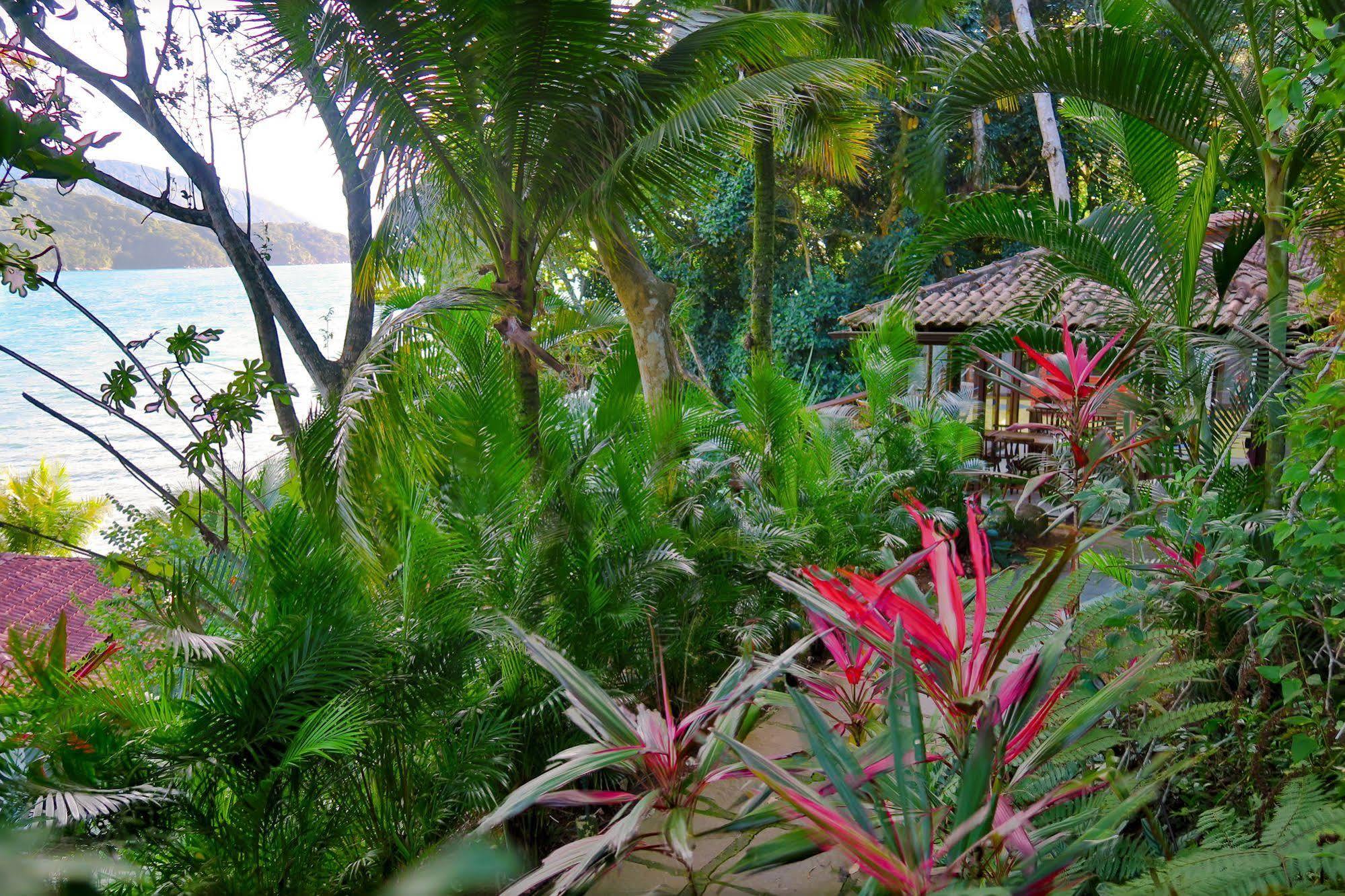 Atlantica Jungle Lodge Vila do Abraao Exterior photo